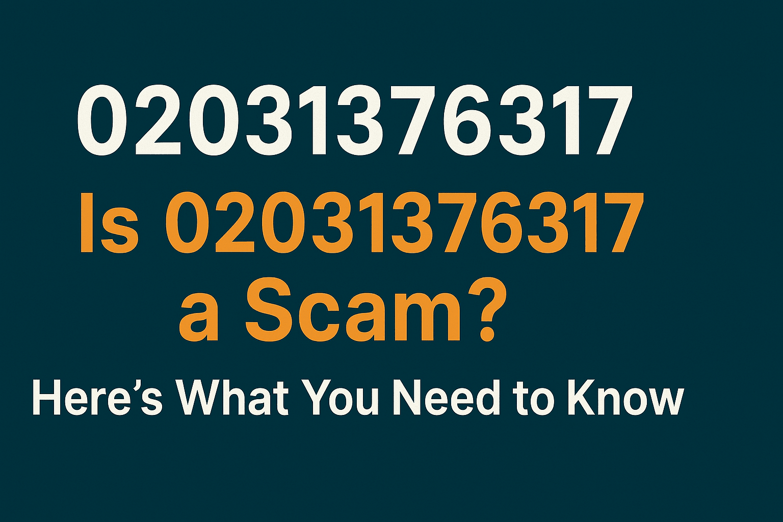 02031376317